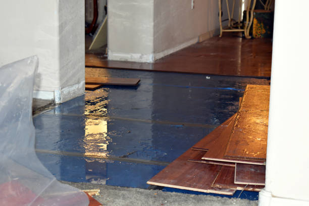 Professional Sewage Cleanup technician working in Springville, NY